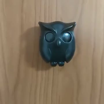 Night Owl Magnetic Key Hook